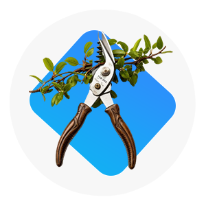 Jardim & Área Externa